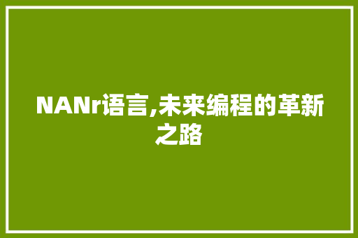 NANr语言,未来编程的革新之路 百度SEO