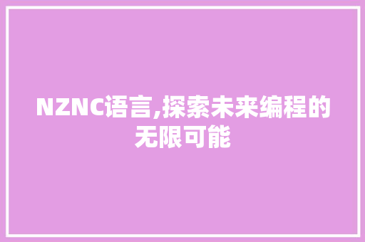 NZNC语言,探索未来编程的无限可能 GoogleSEO