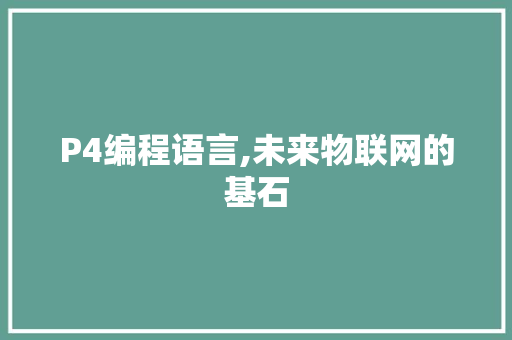 P4编程语言,未来物联网的基石 必应SEO