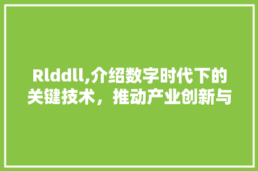 Rlddll,介绍数字时代下的关键技术，推动产业创新与发展 神马SEO