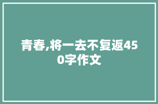 SV语言类型,探索编程语言的未来 搜狗SEO