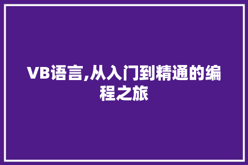 VB语言,从入门到精通的编程之旅 GoogleSEO