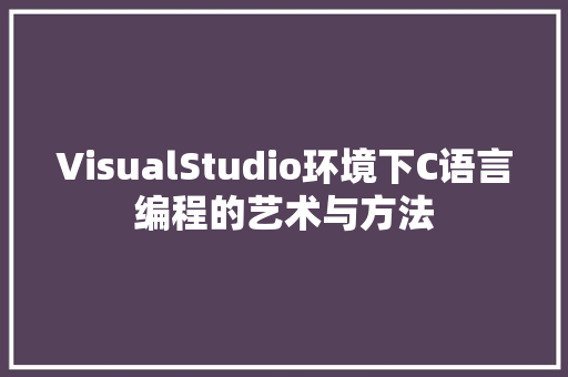 VisualStudio环境下C语言编程的艺术与方法