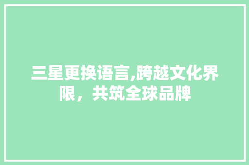 三星更换语言,跨越文化界限，共筑全球品牌 必应SEO