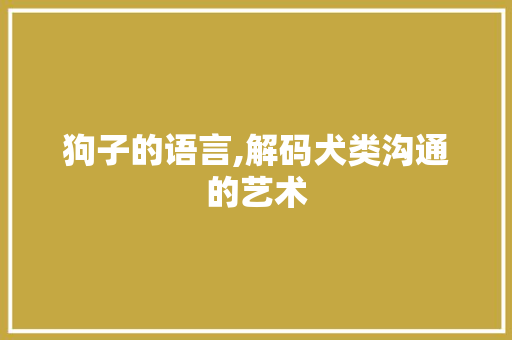 狗子的语言,解码犬类沟通的艺术 必应SEO