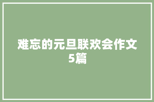电子软件语言的演变与未来展望 必应SEO