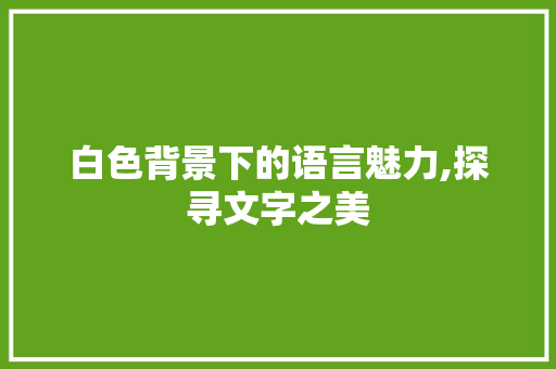 白色背景下的语言魅力,探寻文字之美 搜狗SEO