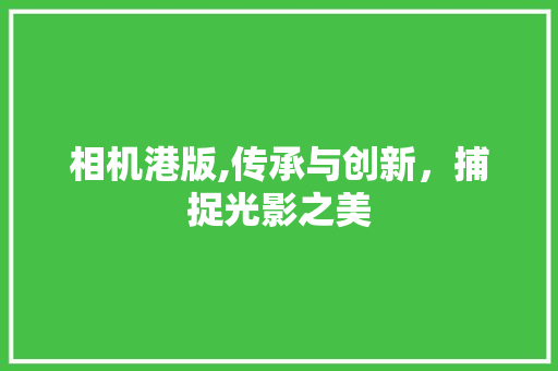 相机港版,传承与创新，捕捉光影之美 百度SEO