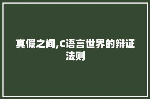 真假之间,C语言世界的辩证法则 GoogleSEO