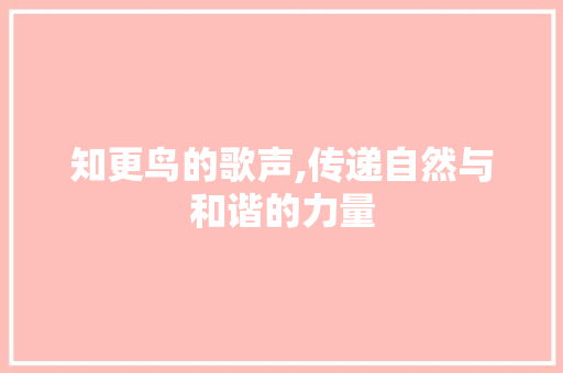 知更鸟的歌声,传递自然与和谐的力量 搜狗SEO