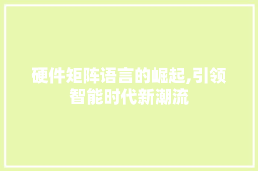 硬件矩阵语言的崛起,引领智能时代新潮流 GoogleSEO