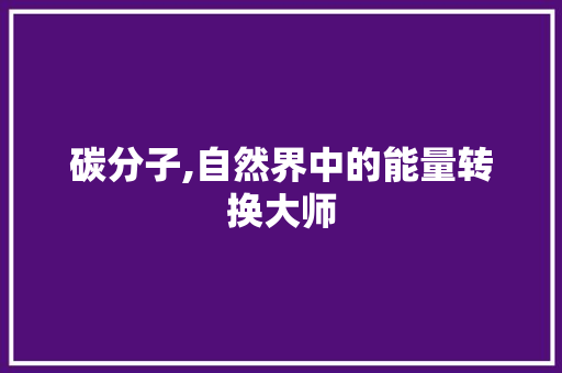 碳分子,自然界中的能量转换大师