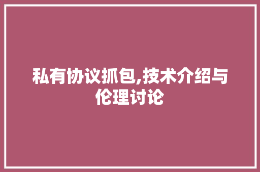 私有协议抓包,技术介绍与伦理讨论 必应SEO