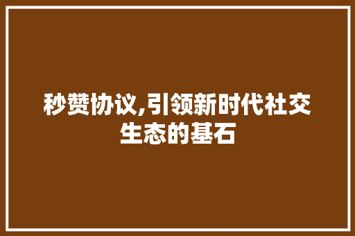 秒赞协议,引领新时代社交生态的基石 GoogleSEO