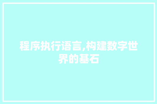 程序执行语言,构建数字世界的基石 必应SEO