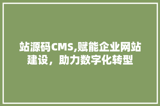 站源码CMS,赋能企业网站建设，助力数字化转型 百度SEO