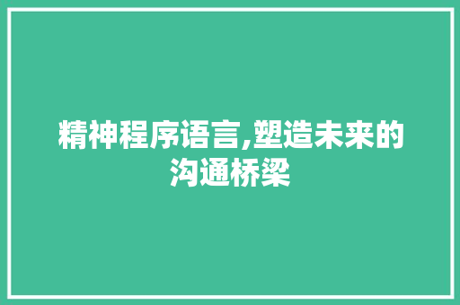 精神程序语言,塑造未来的沟通桥梁 必应SEO