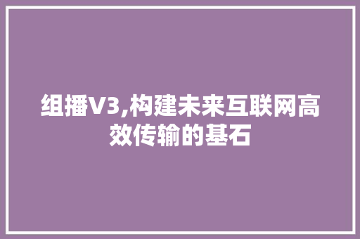 组播V3,构建未来互联网高效传输的基石 百度SEO