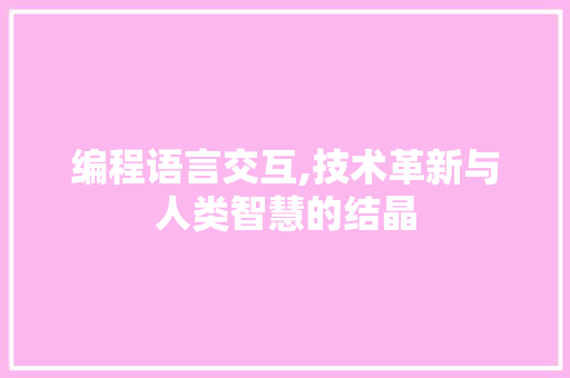 编程语言交互,技术革新与人类智慧的结晶 GoogleSEO