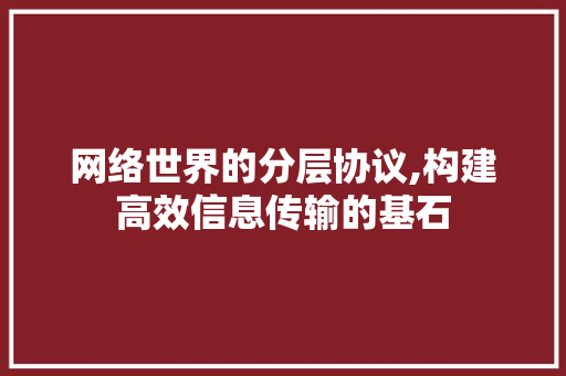 网络世界的分层协议,构建高效信息传输的基石 神马SEO