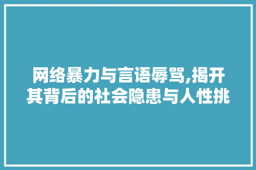网络暴力与言语辱骂,揭开其背后的社会隐患与人性挑战 神马SEO