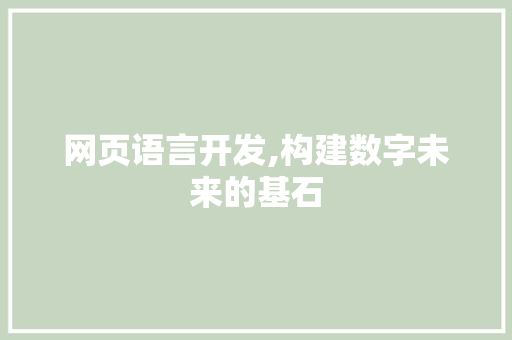 网页语言开发,构建数字未来的基石 百度SEO