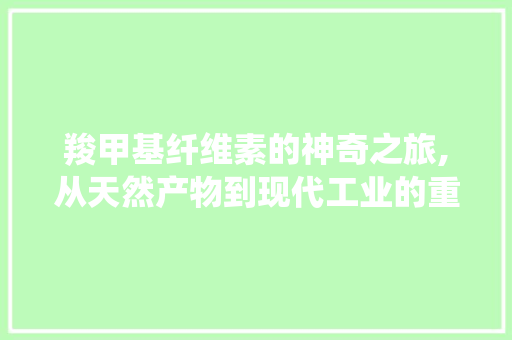 羧甲基纤维素的神奇之旅,从天然产物到现代工业的重要材料 神马SEO