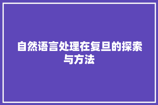 自然语言处理在复旦的探索与方法 必应SEO