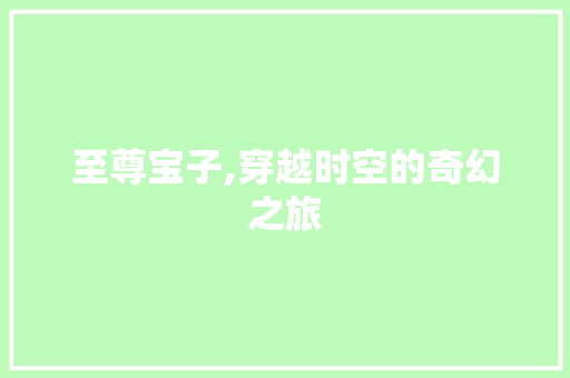 至尊宝子,穿越时空的奇幻之旅 搜狗SEO