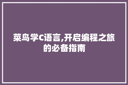 菜鸟学C语言,开启编程之旅的必备指南 必应SEO
