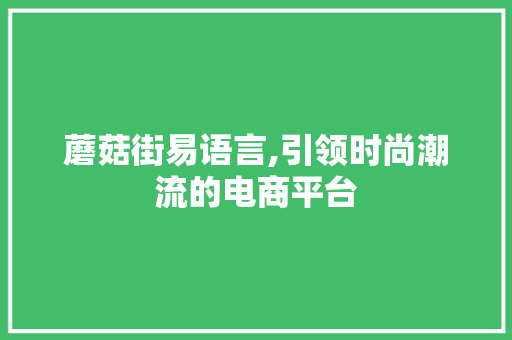 蘑菇街易语言,引领时尚潮流的电商平台 GoogleSEO