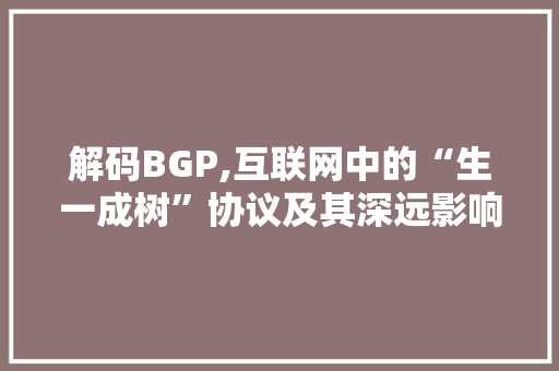 解码BGP,互联网中的“生一成树”协议及其深远影响 GoogleSEO
