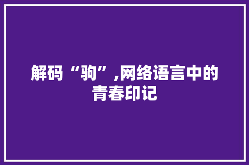 解码“驹”,网络语言中的青春印记 百度SEO