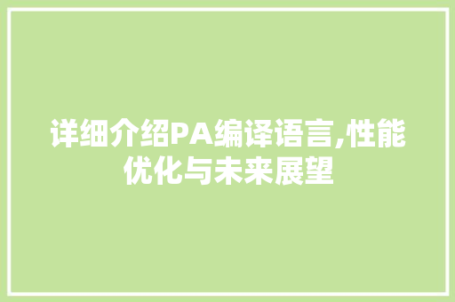 详细介绍PA编译语言,性能优化与未来展望 GoogleSEO