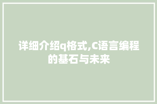 详细介绍q格式,C语言编程的基石与未来 神马SEO