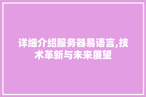详细介绍服务器易语言,技术革新与未来展望 必应SEO