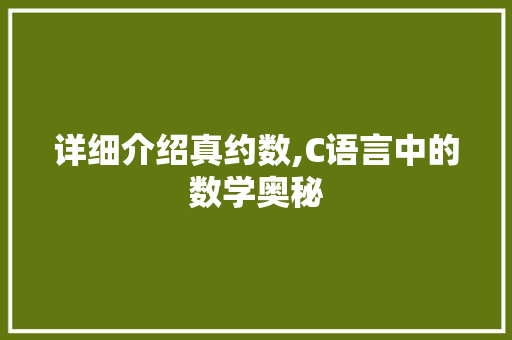 详细介绍真约数,C语言中的数学奥秘 GoogleSEO