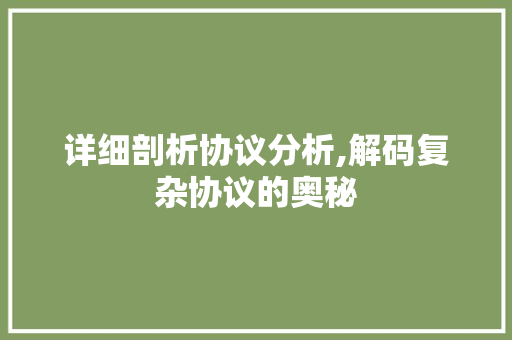 详细剖析协议分析,解码复杂协议的奥秘 必应SEO