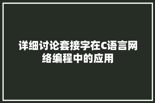 详细讨论套接字在C语言网络编程中的应用 神马SEO
