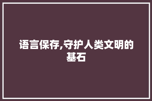 语言保存,守护人类文明的基石