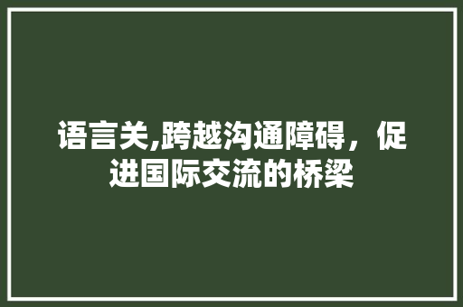 语言关,跨越沟通障碍，促进国际交流的桥梁