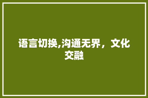 语言切换,沟通无界，文化交融 神马SEO