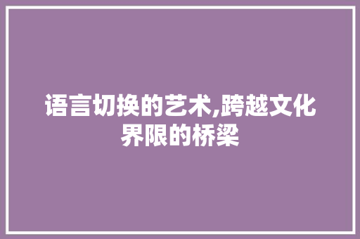 语言切换的艺术,跨越文化界限的桥梁