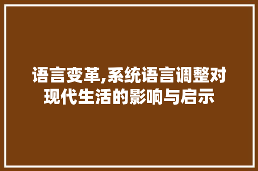 语言变革,系统语言调整对现代生活的影响与启示