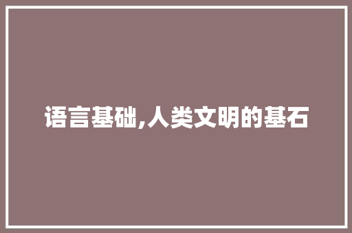 语言基础,人类文明的基石