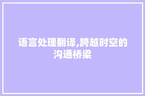 语言处理翻译,跨越时空的沟通桥梁 神马SEO