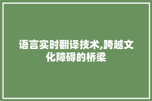 语言实时翻译技术,跨越文化障碍的桥梁