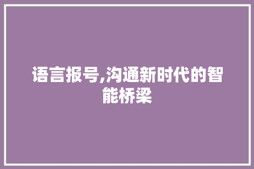 语言报号,沟通新时代的智能桥梁 GoogleSEO