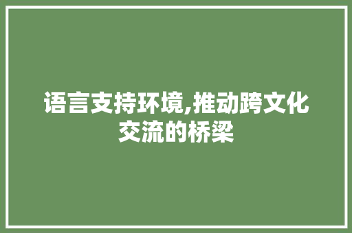 语言支持环境,推动跨文化交流的桥梁 必应SEO