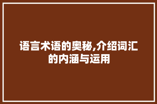 语言术语的奥秘,介绍词汇的内涵与运用